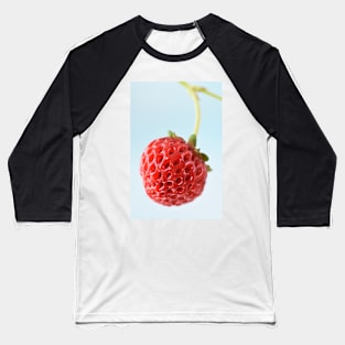 Fragaria x ananassa  &#39;Framberry&#39;  Strawberry Baseball T-Shirt